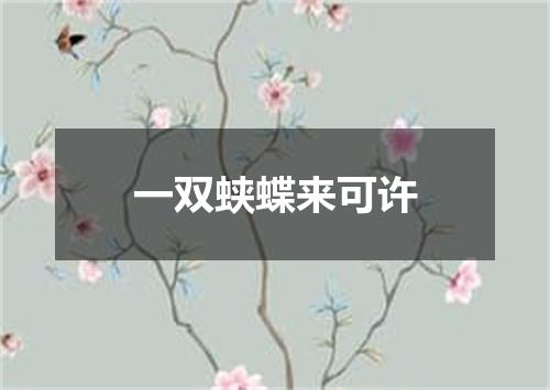 一双蛱蝶来可许