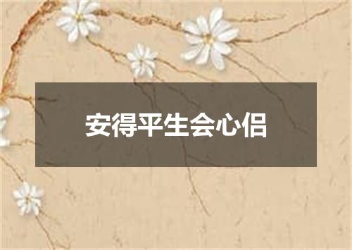安得平生会心侣