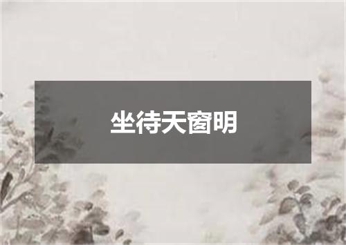 坐待天窗明