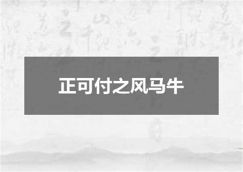 正可付之风马牛
