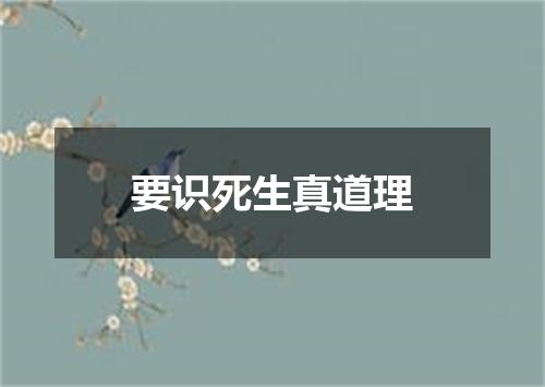 要识死生真道理