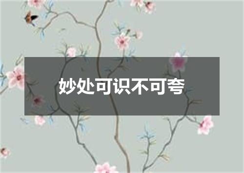 妙处可识不可夸
