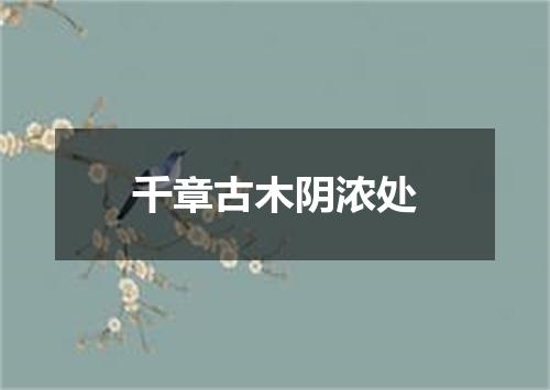 千章古木阴浓处