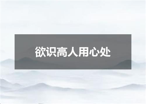 欲识高人用心处