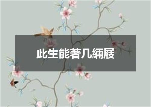 此生能著几緉屐
