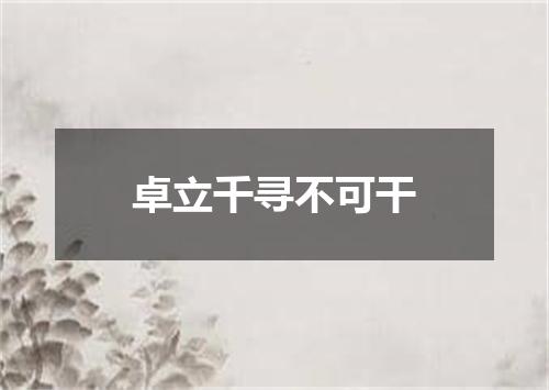 卓立千寻不可干