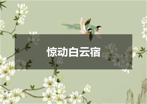 惊动白云宿