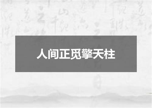 人间正觅擎天柱