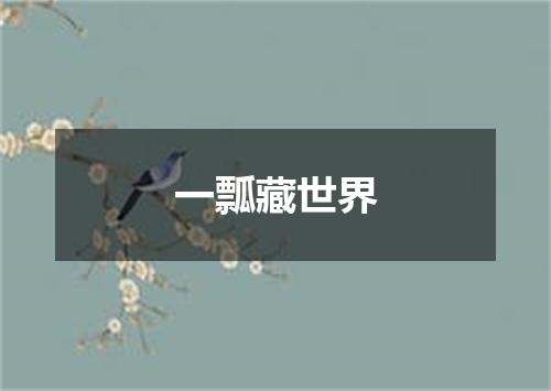 一瓢藏世界