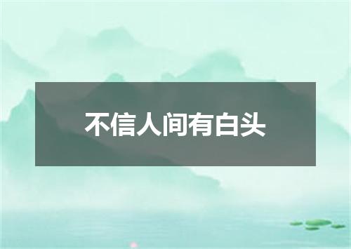 不信人间有白头
