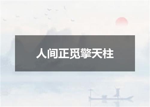 人间正觅擎天柱
