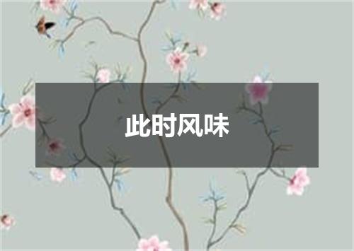 此时风味