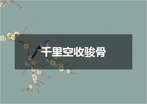千里空收骏骨