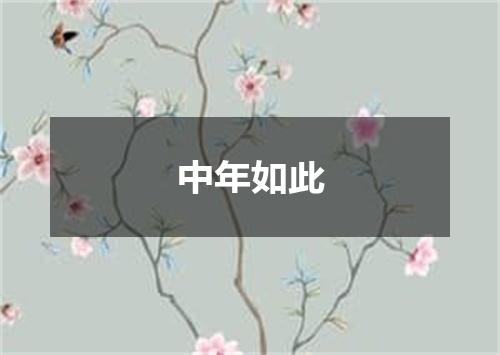 中年如此