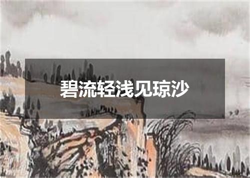 碧流轻浅见琼沙