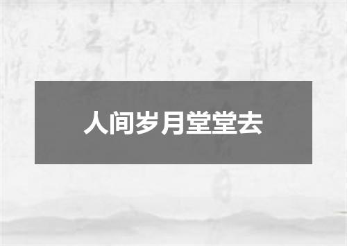 人间岁月堂堂去