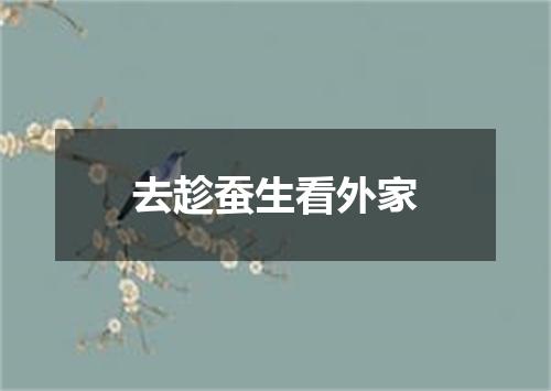 去趁蚕生看外家