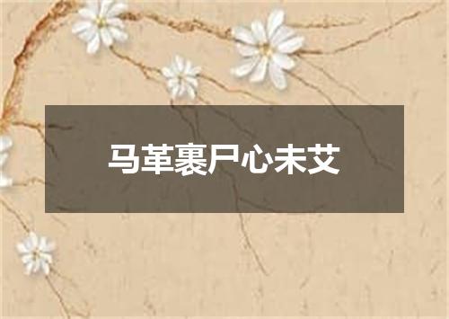 马革裹尸心未艾