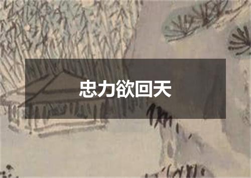 忠力欲回天