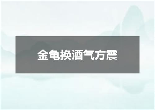 金龟换酒气方震