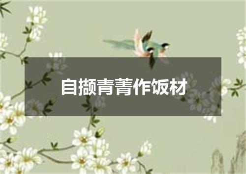 自撷青菁作饭材
