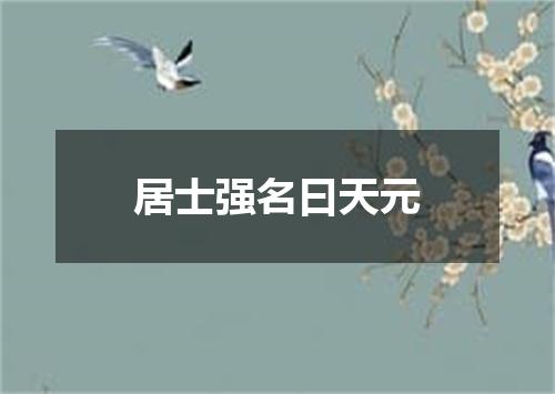 居士强名曰天元