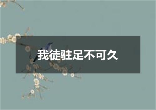 我徒驻足不可久