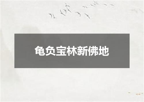 龟负宝林新佛地