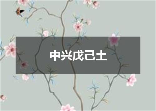 中兴戊己土