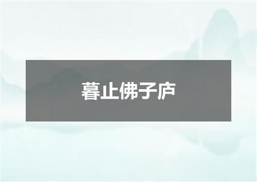 暮止佛子庐