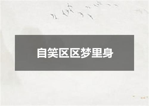 自笑区区梦里身