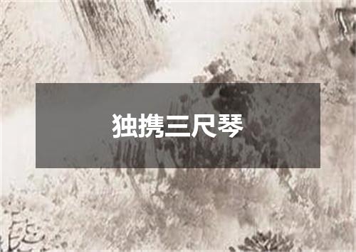 独携三尺琴