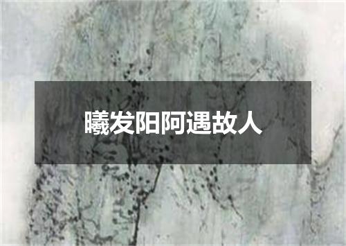 曦发阳阿遇故人