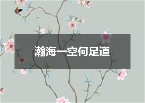 瀚海一空何足道