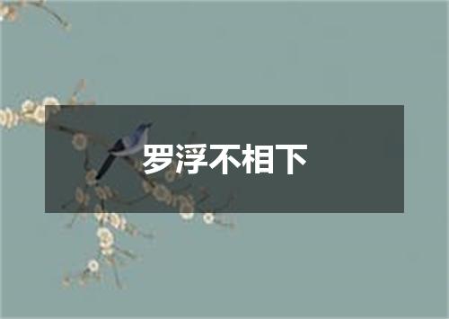 罗浮不相下