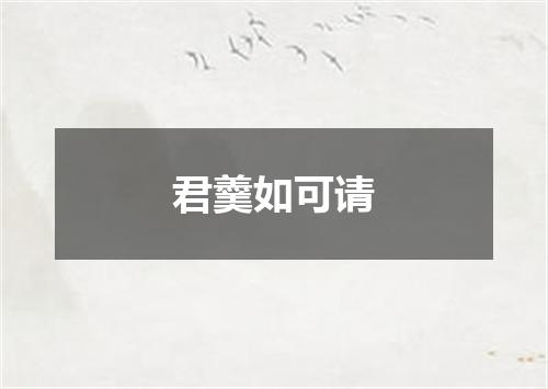 君羹如可请