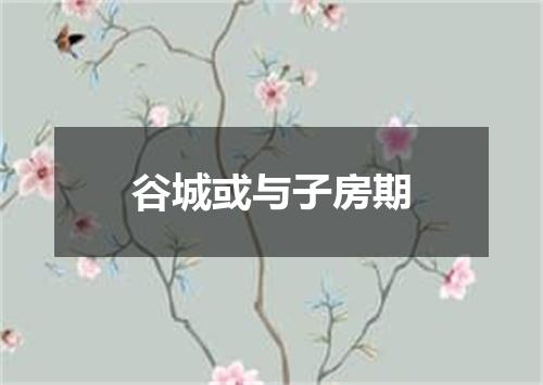 谷城或与子房期