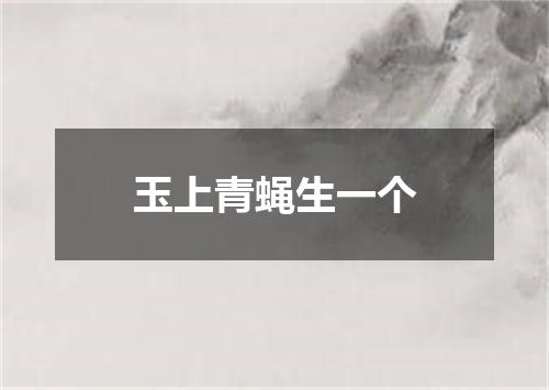 玉上青蝇生一个