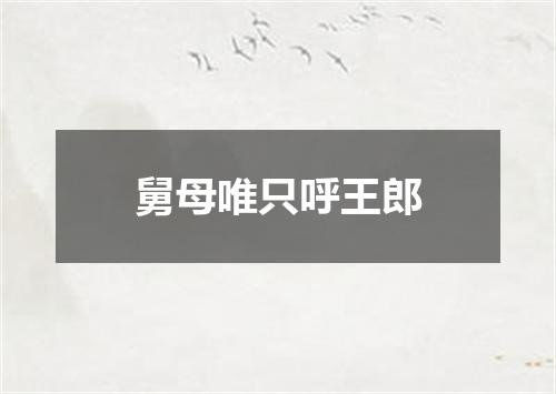 舅母唯只呼王郎