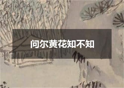 问尔黄花知不知