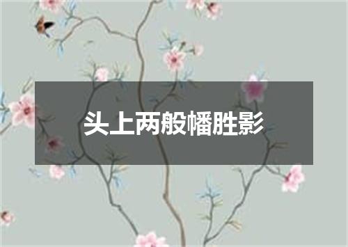 头上两般幡胜影
