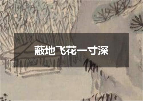 蔽地飞花一寸深