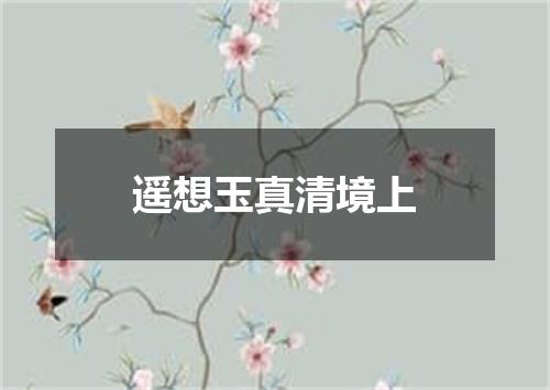 遥想玉真清境上