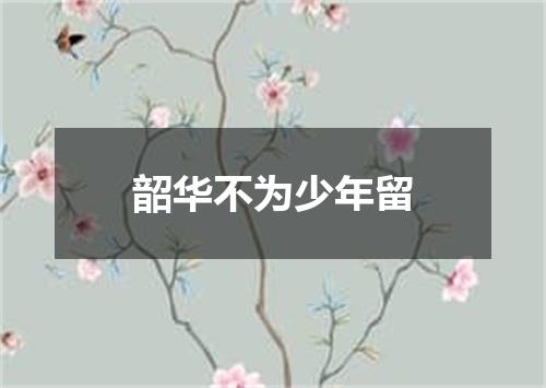 韶华不为少年留