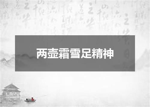 两壶霜雪足精神