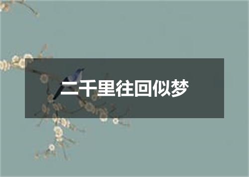 二千里往回似梦