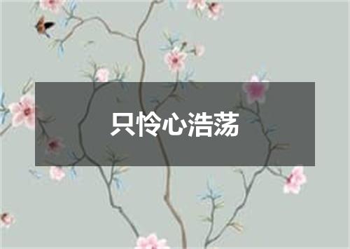 只怜心浩荡