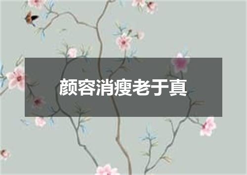 颜容消瘦老于真