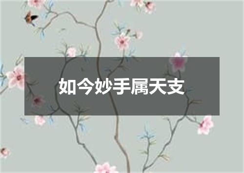 如今妙手属天支