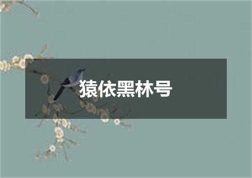 猿依黑林号